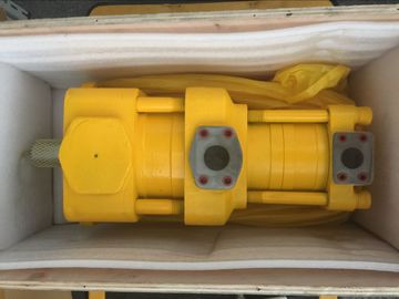 Sumitomo QT Series Double Gear Pump