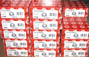 FAG NJ2207-E-TVP2 Cylinderical Roller Bearing